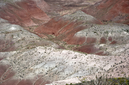 Kachina Point in the Painted Desert